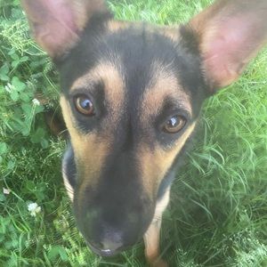 Meet your Posher, Avery